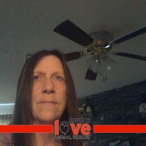 Meet your Posher, Karla