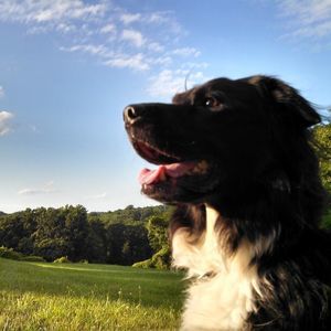 Meet your Posher, Matt