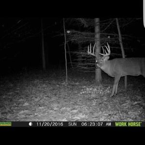 Meet your Posher, Hunter