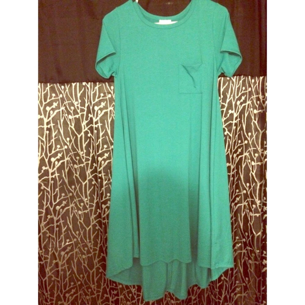 LulaRoe xs NWOT Carly