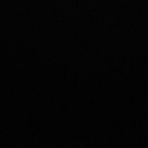 Meet your Posher, Tae