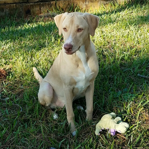 Meet your Posher, Julie - Picture 2 of 4