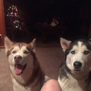 Meet your Posher, Austin