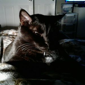 Meet your Posher, Ellen