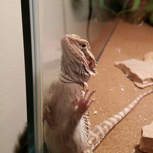 Meet your Posher, Jon