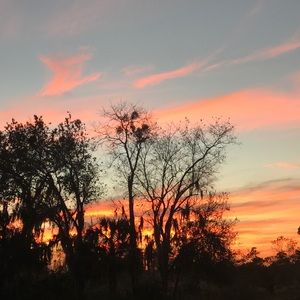 Meet your Posher, Gabrielle