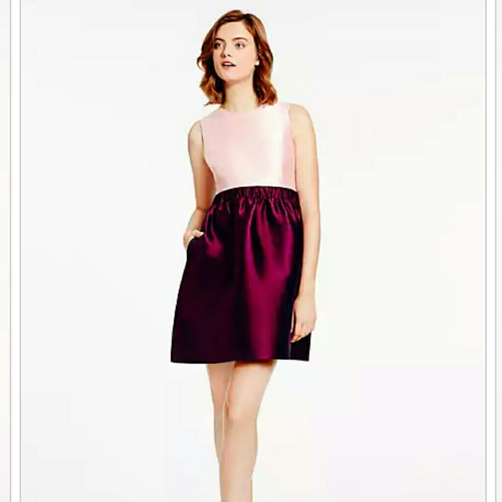 Kate Spade Swift Dress