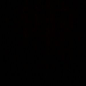 Meet your Posher, Bradley