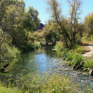 Meet your Posher, Arlene