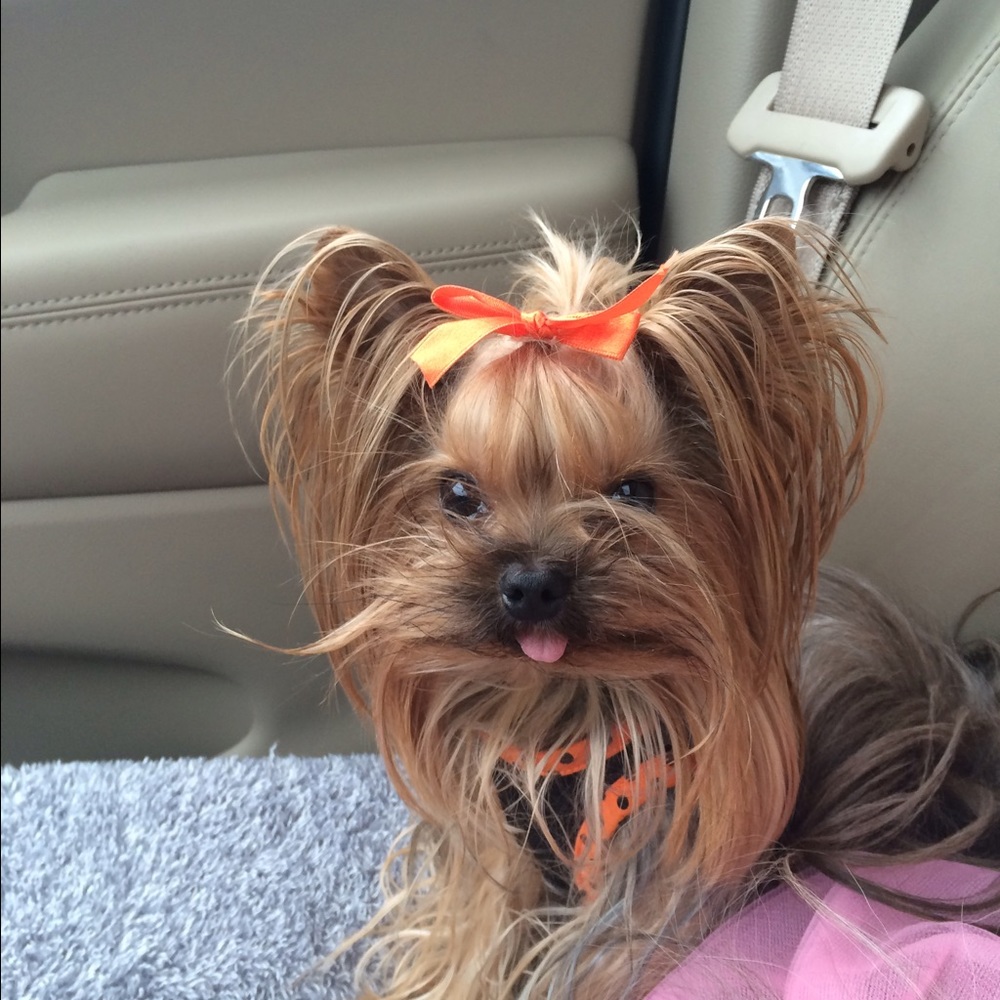 Meet your Posher, Amanda