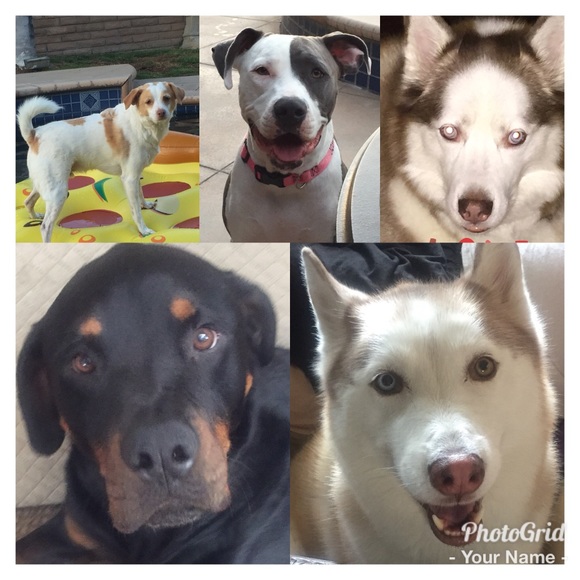 Meet your Posher, Shannon - Picture 2 of 2