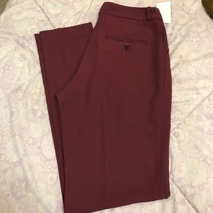 Burnt Burgundy Dress Pants