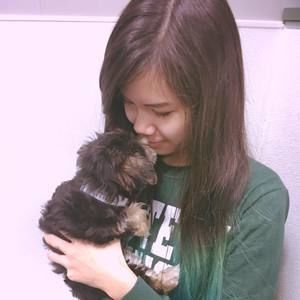 Meet your Posher, Lucy