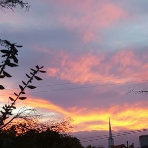 Meet your Posher, Alexia