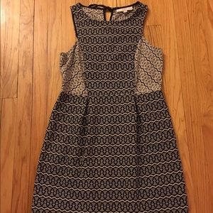 LOFT NWT dress