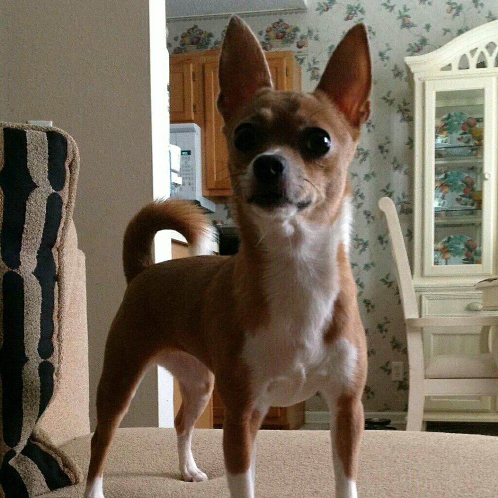 Meet your Posher, Marisa