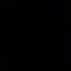 Meet your Posher, Reyna