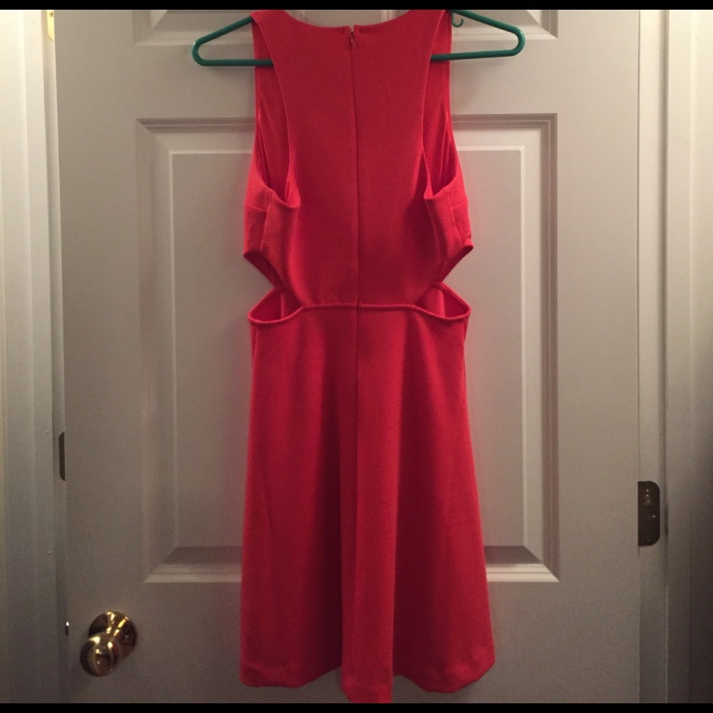Express Dress - Picture 3 of 3