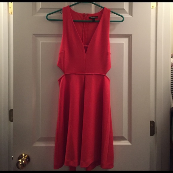 Express Dress - Picture 2 of 3