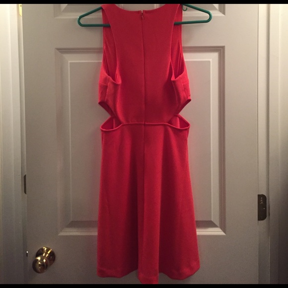 Express Dress - Picture 3 of 3