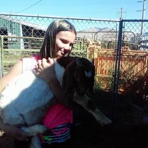 Meet your Posher, Madison