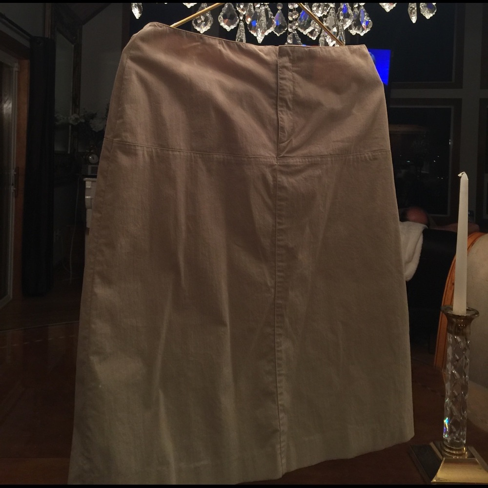 Banana Republic Skirt