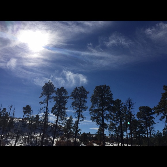 Meet your Posher, Tina - Picture 1 of 1