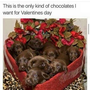 Meet your Posher, Terriona