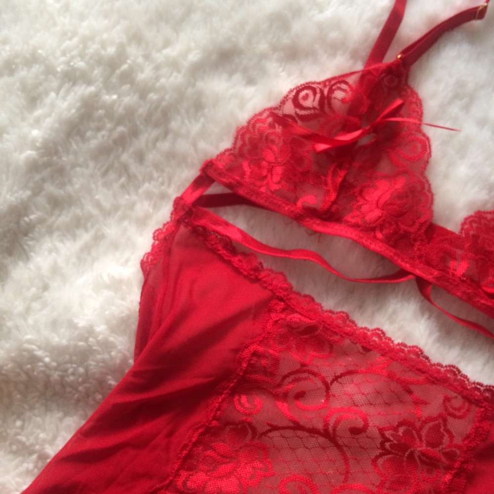 Red Teddy 🍉 - Picture 2 of 4