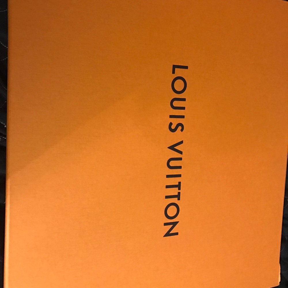 Luis Vuitton Never full box