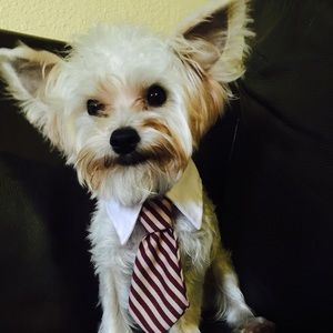 Meet your Posher, Eve