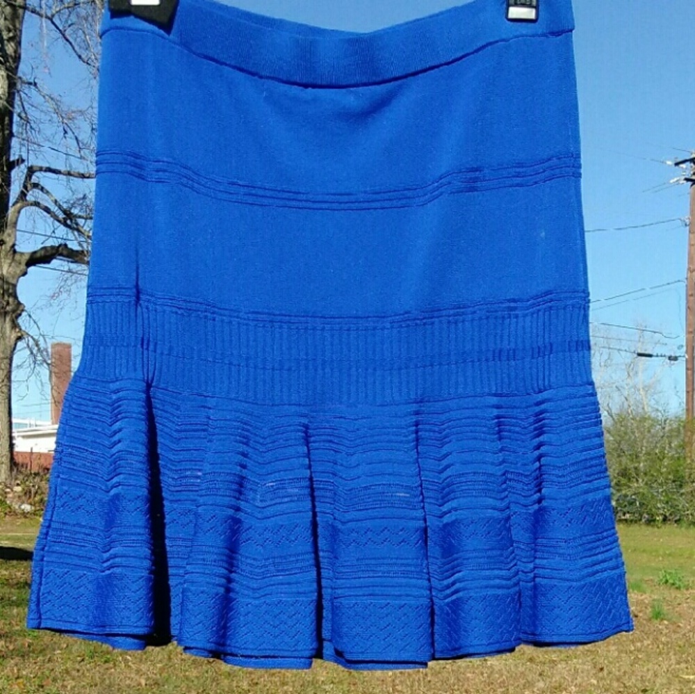 Blue Ivanka Skirt