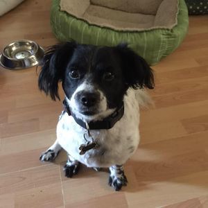 Meet your Posher, Rhonda