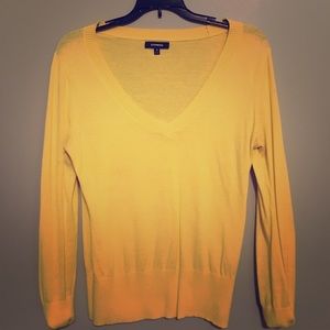 Express small v neck sweater