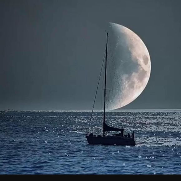 Meet your Posher, Sarah - Picture 5 of 6