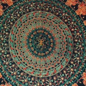 Meet your Posher, Sally