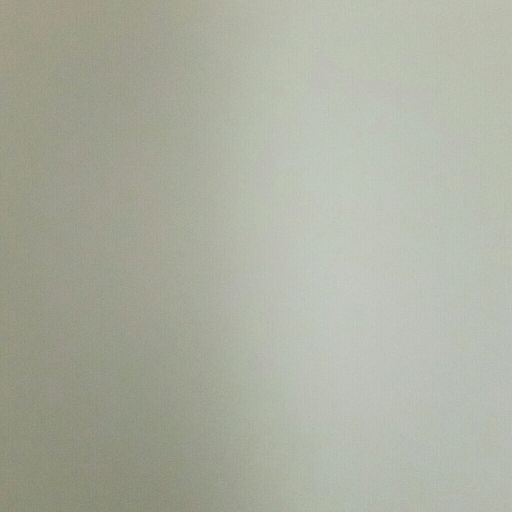 Meet your Posher, Precilla