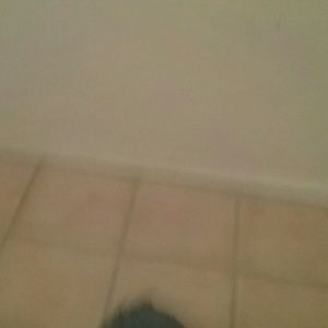 Meet your Posher, Briana