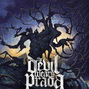 Meet your Posher, Bailey