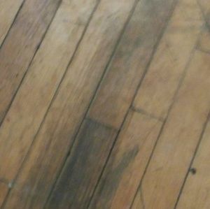 Meet your Posher, Isabel