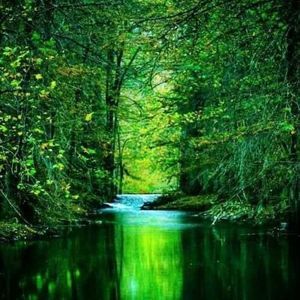 Meet your Posher, Lee