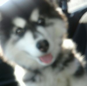 Meet your Posher, Angela