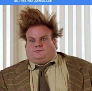 Meet your Posher, Brandy