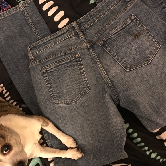 American Rag Jeans 💙 - Picture 4 of 4