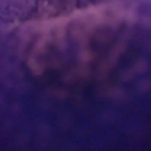 Meet your Posher, Deanna