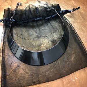 Silver Chocker Necklace from Express