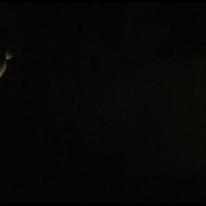 Meet your Posher, Daley