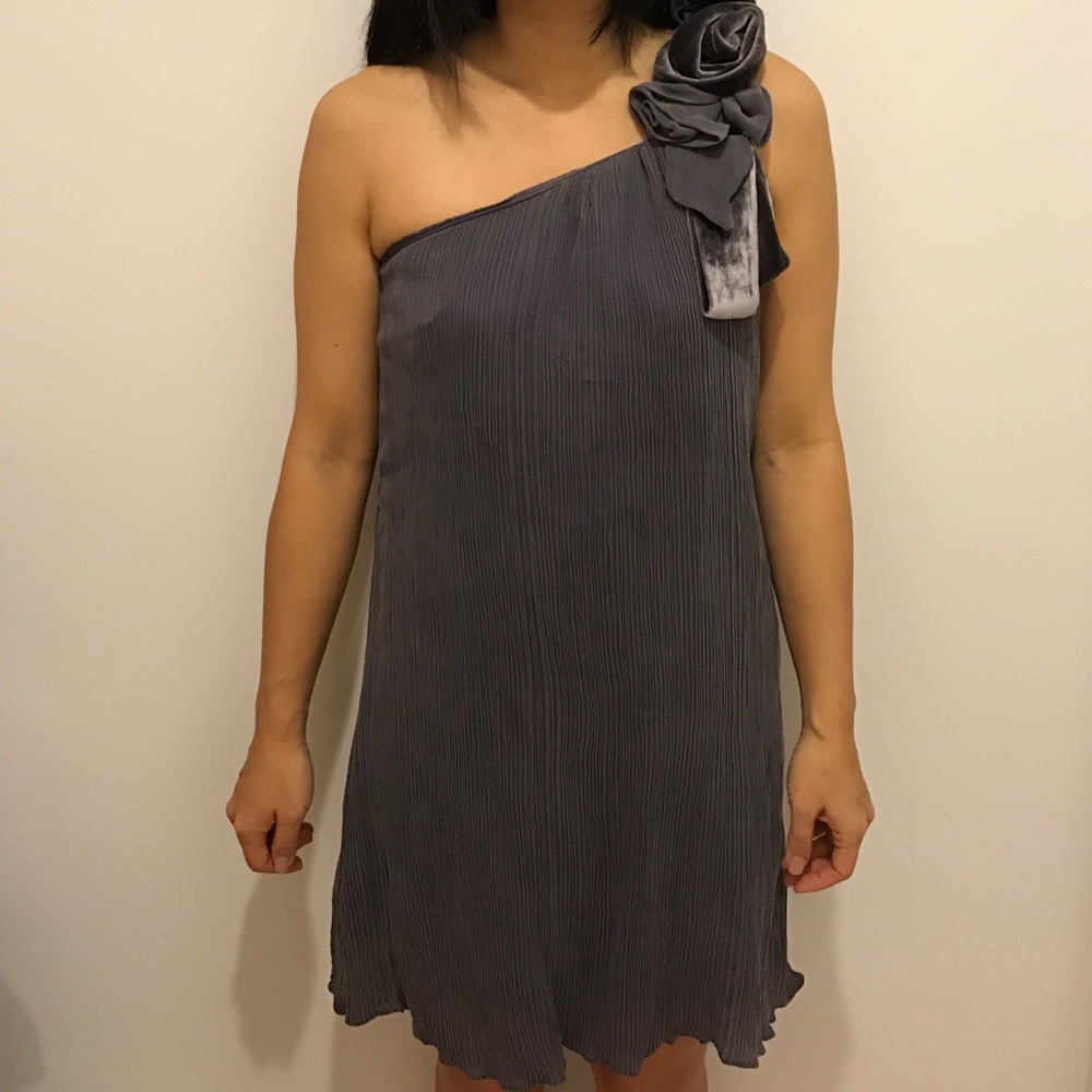 Lavender Gray Silk Dress