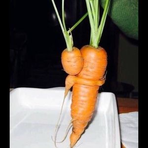 Meet your Posher, Saori