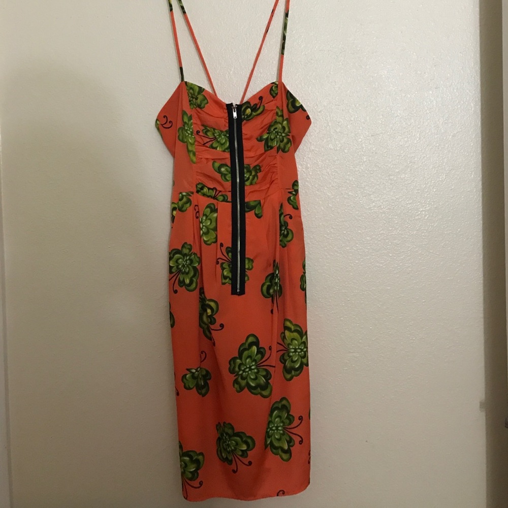 Orange beauty!